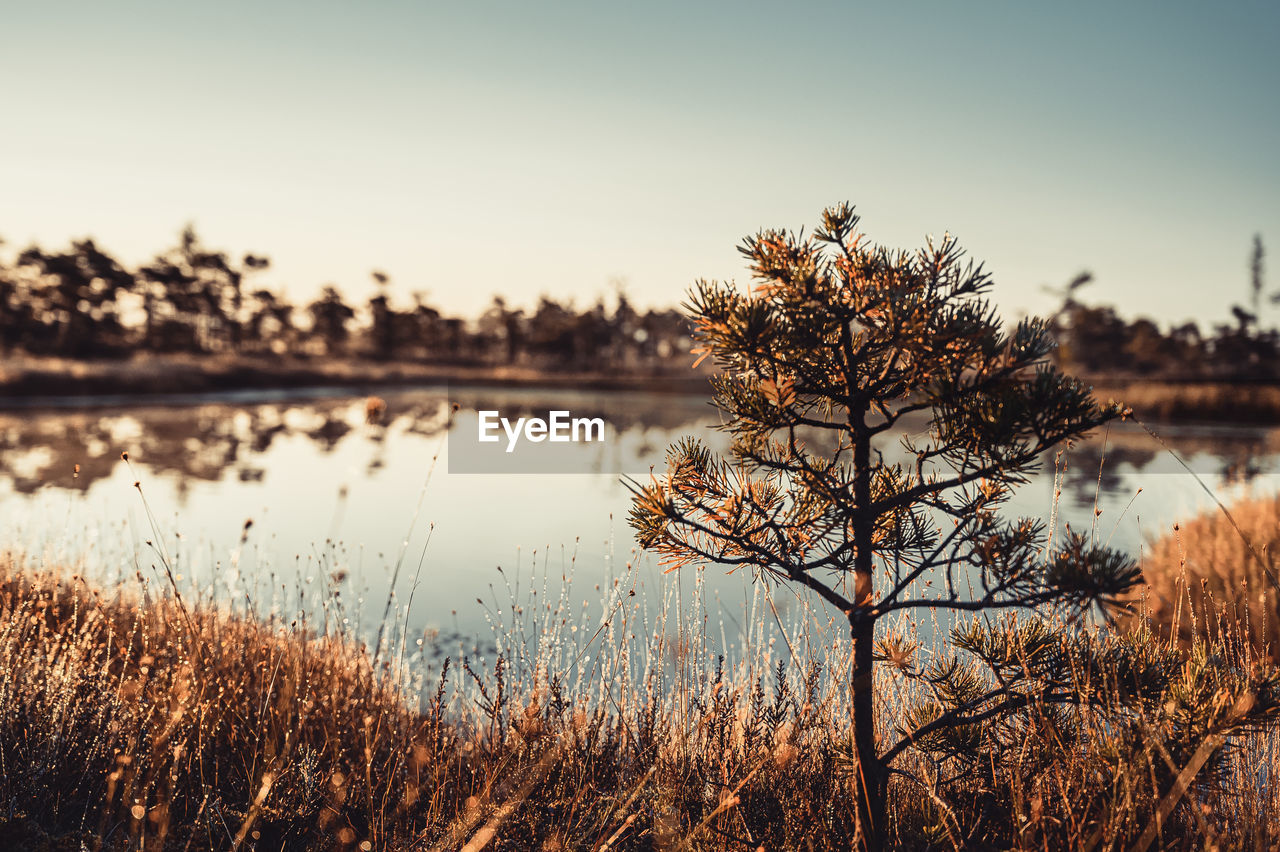 Scenic view of lake against sky during sunset