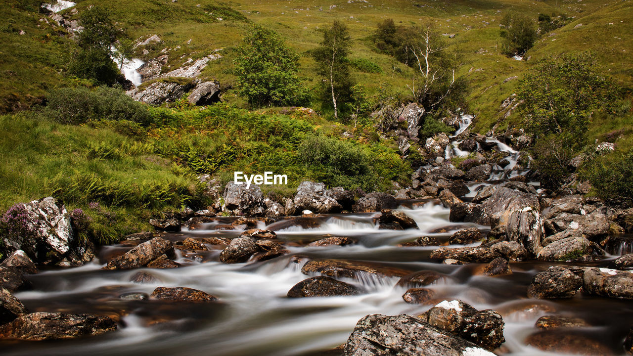 Scenic view of river in forest against sky