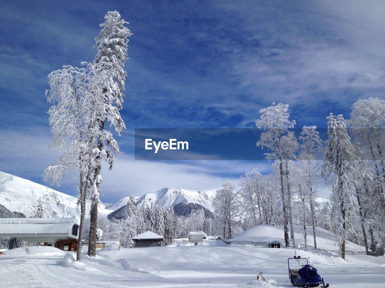 Snow covered trees on mountain against sky