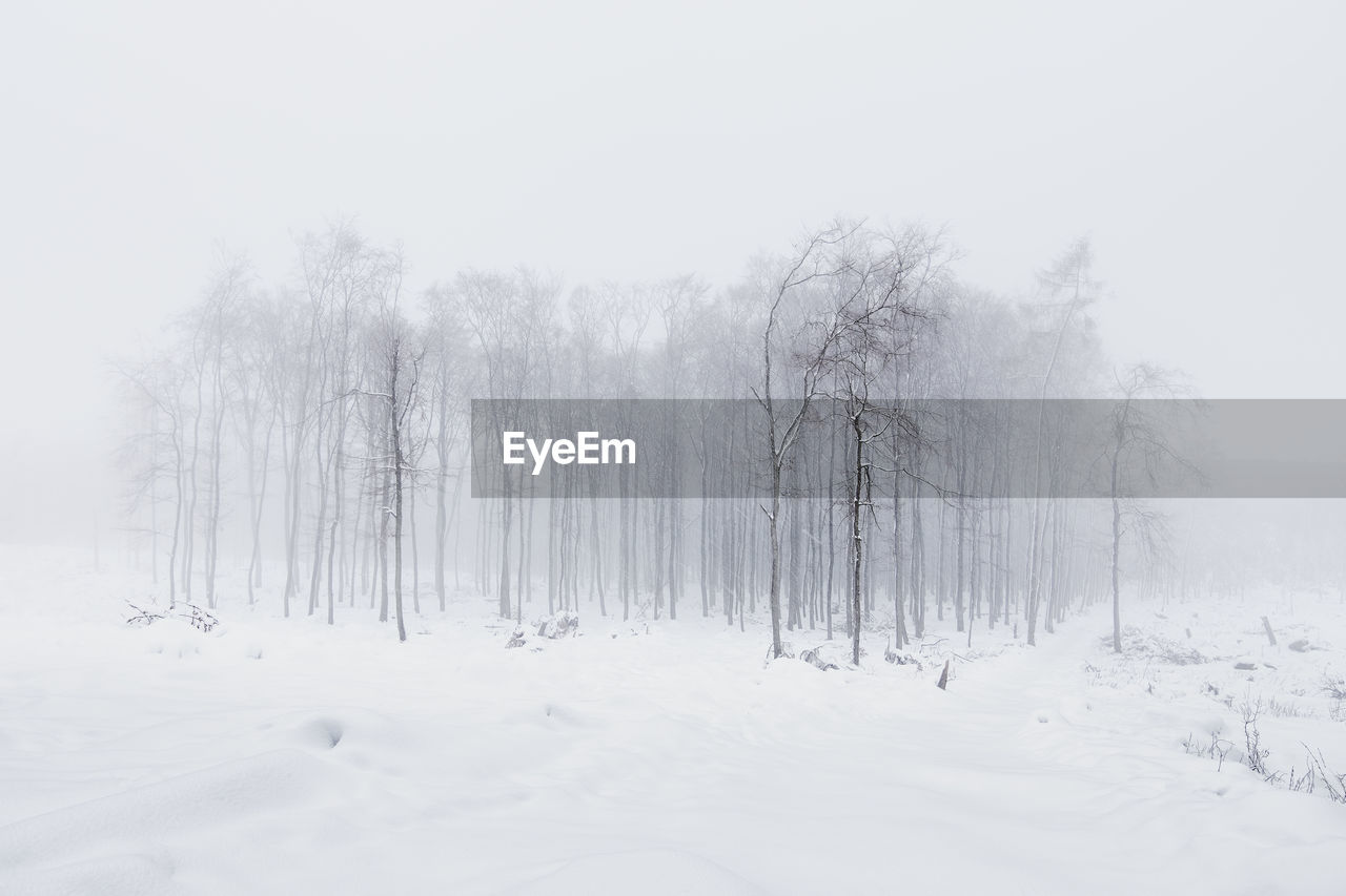 Bare trees on snow covered land against sky