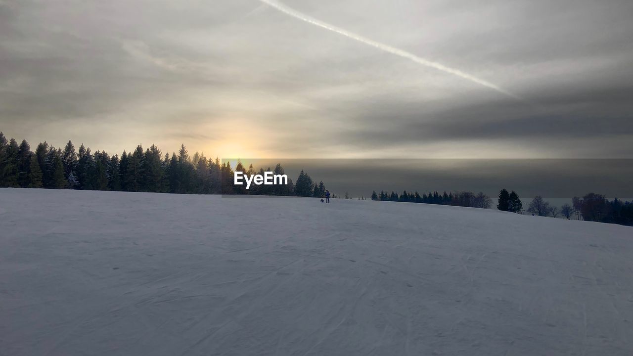 TREES ON SNOW COVERED LAND AGAINST SKY