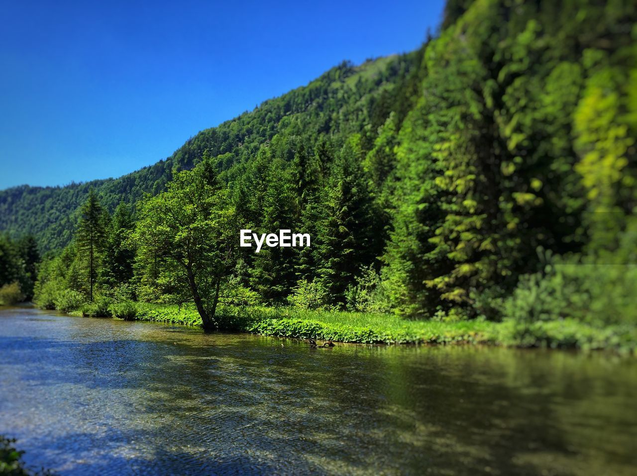 SCENIC VIEW OF RIVER BY TREE MOUNTAINS AGAINST CLEAR SKY