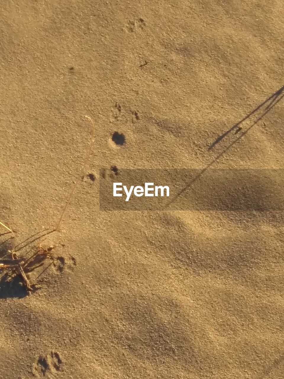 HIGH ANGLE VIEW OF FOOTPRINTS ON SANDY BEACH