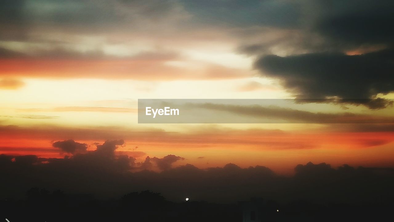 SILHOUETTE TREES AGAINST SKY AT SUNSET