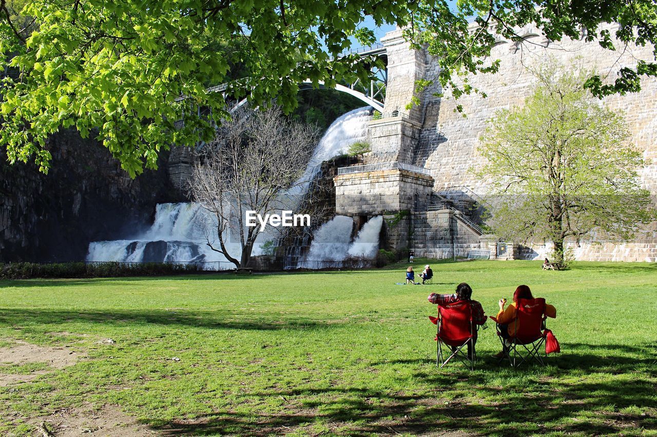 Rear view of people in park