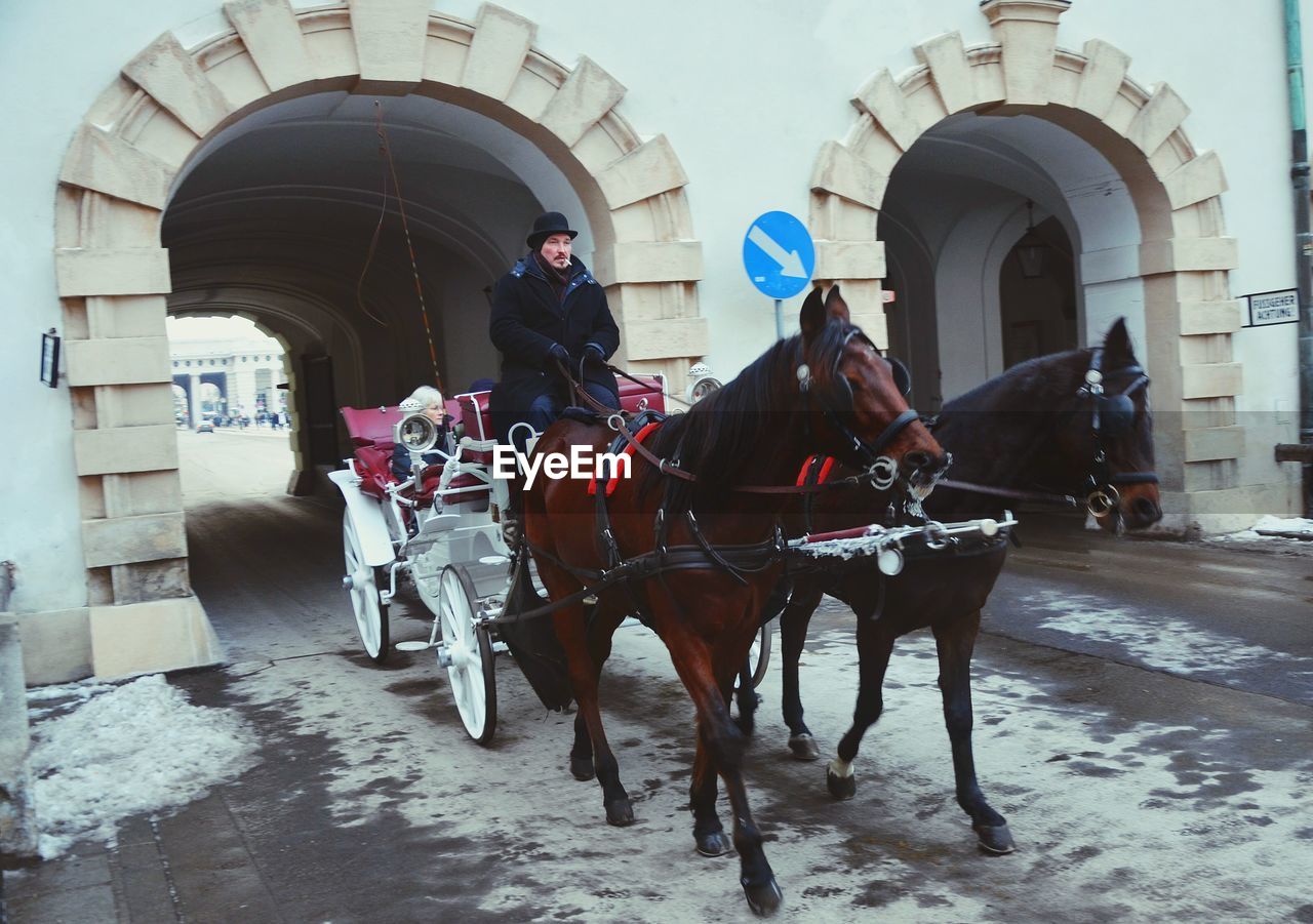 Man with passengers riding horse cart on street at city during winter