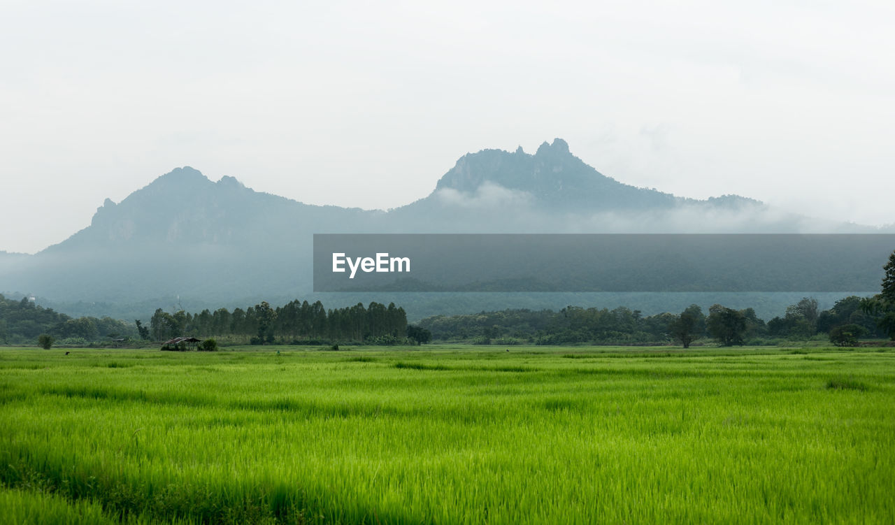 SCENIC VIEW OF FIELD AGAINST MOUNTAINS