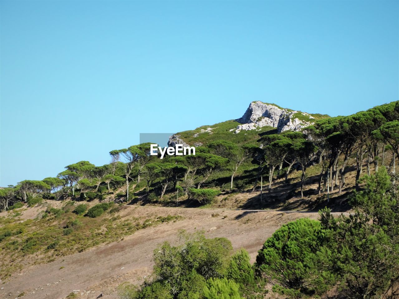 Scenic view of landscape against clear blue sky