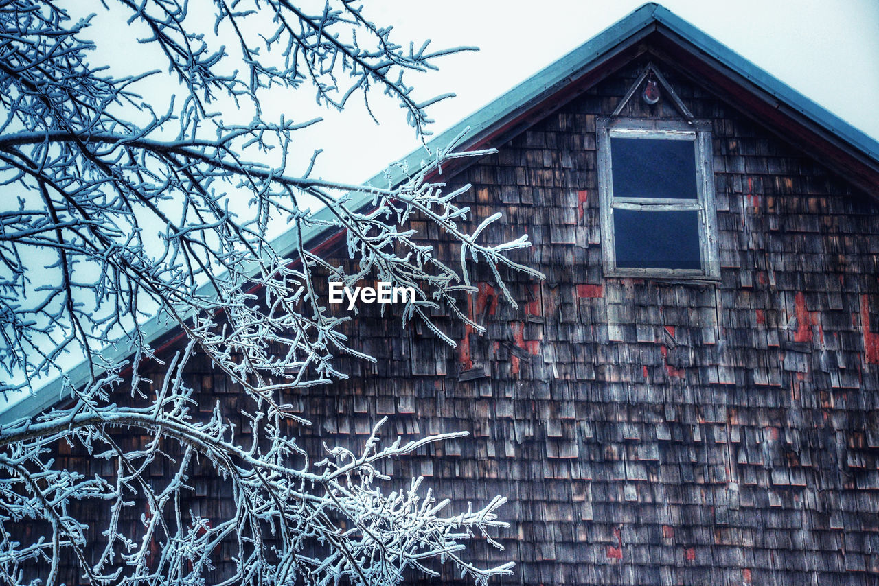 LOW ANGLE VIEW OF BARE TREE AGAINST BUILDING