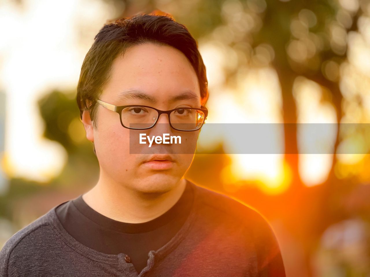 Portrait of young man wearing eyeglasses against trees and setting sun.