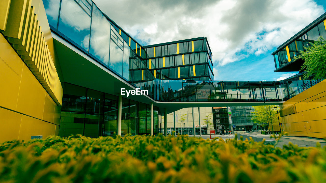 LOW ANGLE VIEW OF YELLOW FLOWERING PLANTS ON BRIDGE