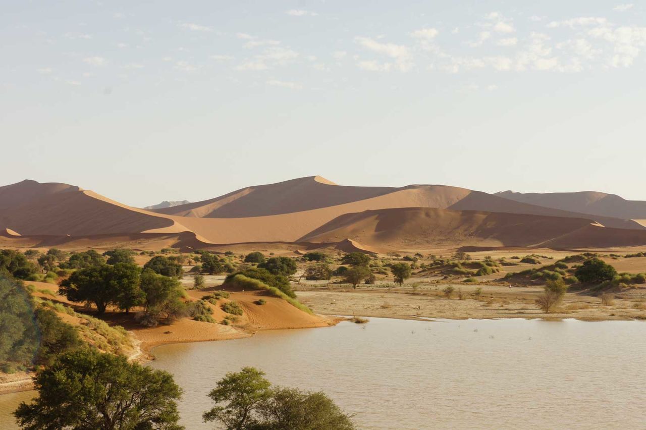 High angle view of river and trees at desert