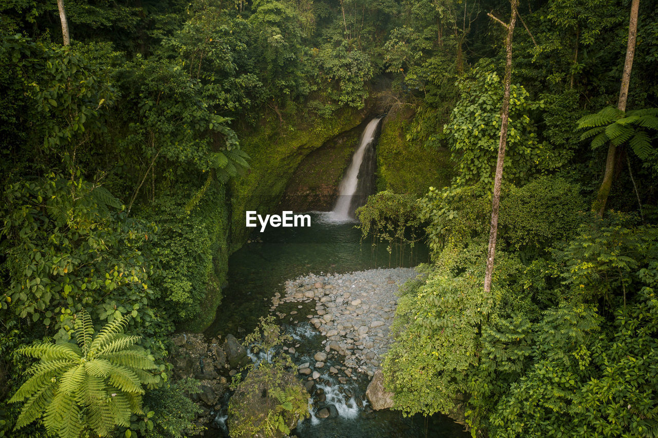 Beautiful waterfall from aerial photo in green forest