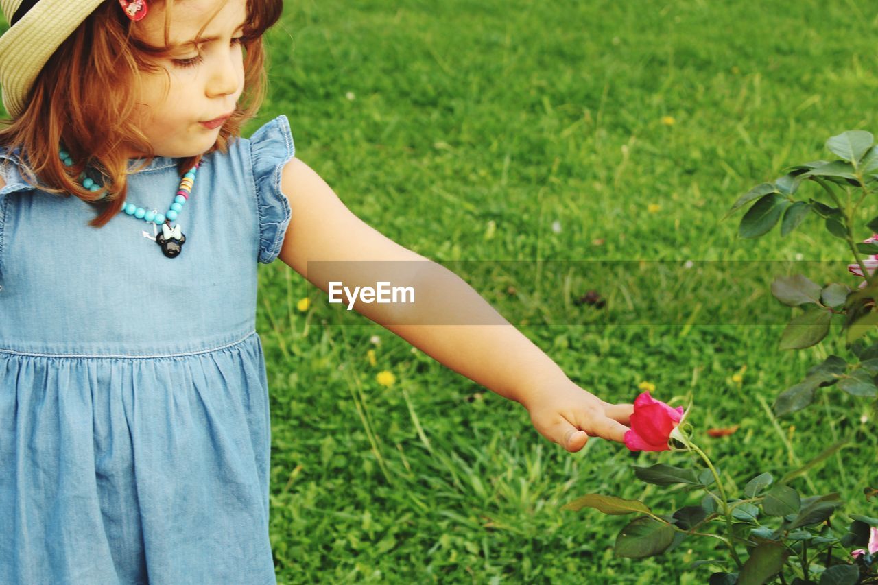 Girl touching rose while standing on field