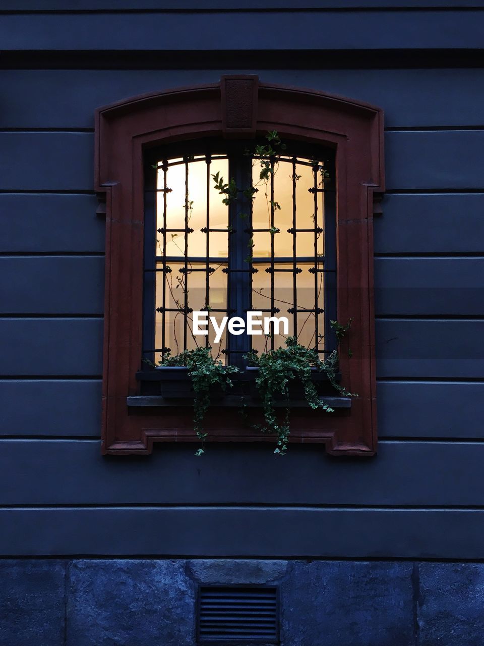 POTTED PLANT ON WINDOW OF HOUSE