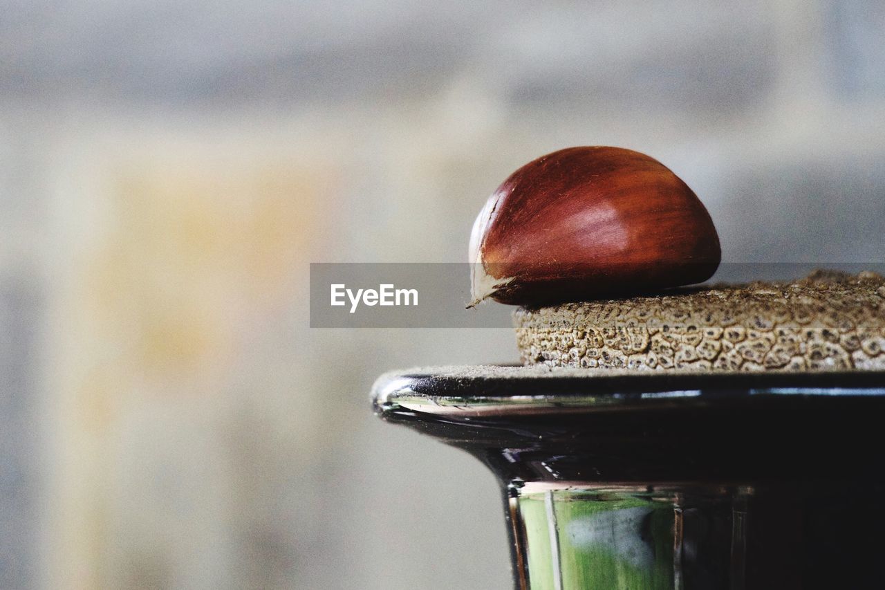 Close-up of hazelnut on cork