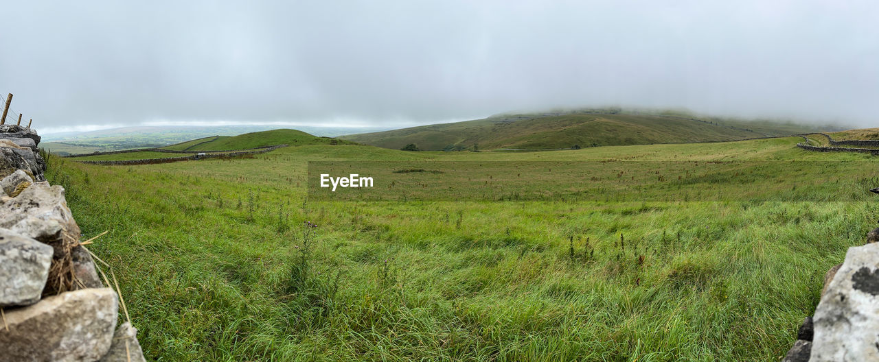 environment, landscape, grass, plant, scenics - nature, sky, cloud, nature, land, beauty in nature, mountain, highland, ridge, green, fog, wilderness, non-urban scene, tranquility, no people, travel destinations, tranquil scene, overcast, cliff, mountain range, travel, rock, water, terrain, tourism, outdoors, rural scene, field, coast, plateau, day, panoramic, social issues, plain, adventure, idyllic, tree, rural area, remote, meadow, geology, environmental conservation, storm, grassland, dramatic sky