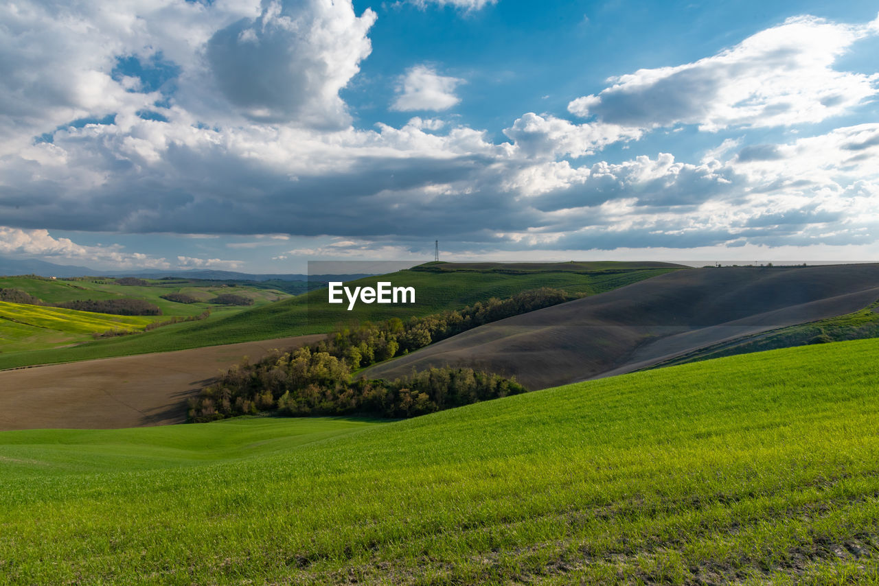 Scenic view of agricultural field against sky