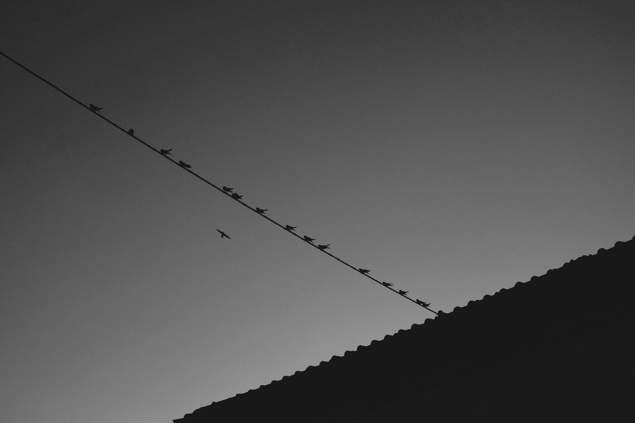 Low angle view of silhouette birds perching on cable