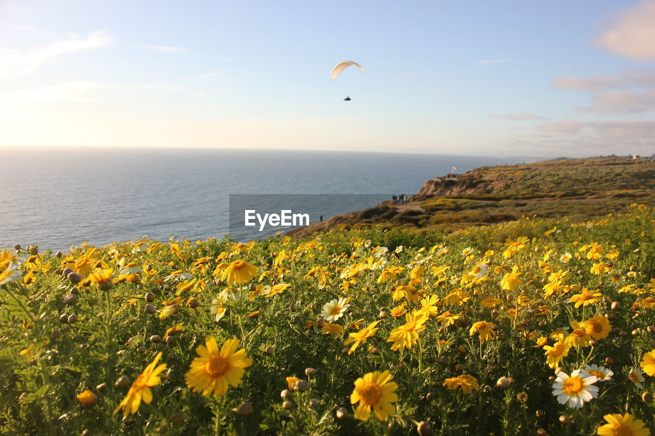 SCENIC VIEW OF SEA AGAINST SKY DURING DUSK