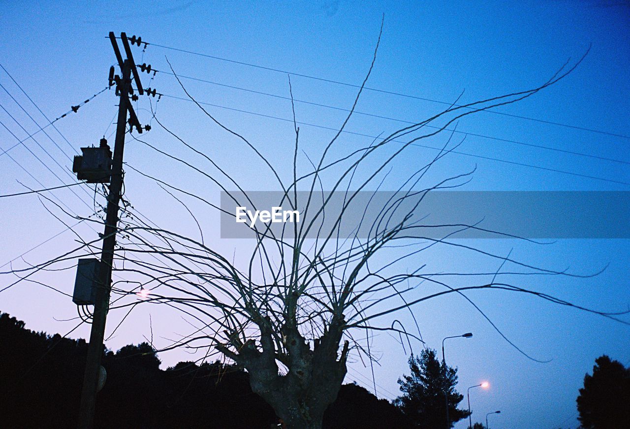 SILHOUETTE OF TREE AGAINST SKY