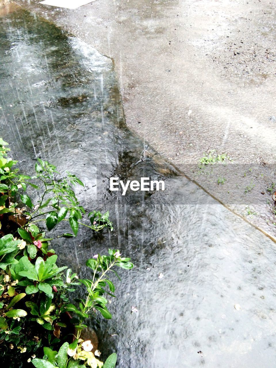 HIGH ANGLE VIEW OF WATER FLOWING OVER ROCKS