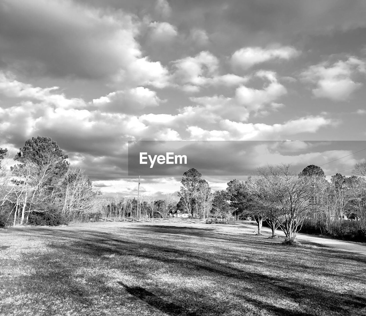 cloud, sky, tree, plant, black and white, landscape, nature, monochrome, monochrome photography, environment, rural area, no people, road, beauty in nature, scenics - nature, grass, land, day, outdoors, tranquility, field, tranquil scene, rural scene, sunlight, transportation