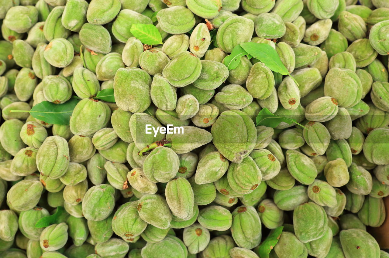 FULL FRAME SHOT OF FRESH GREEN BEANS