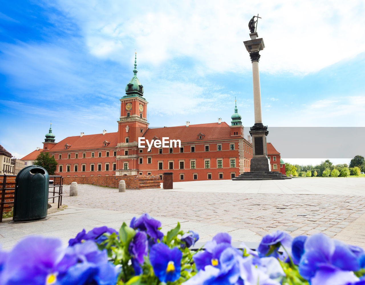 VIEW OF FLOWERING PLANTS AGAINST SKY