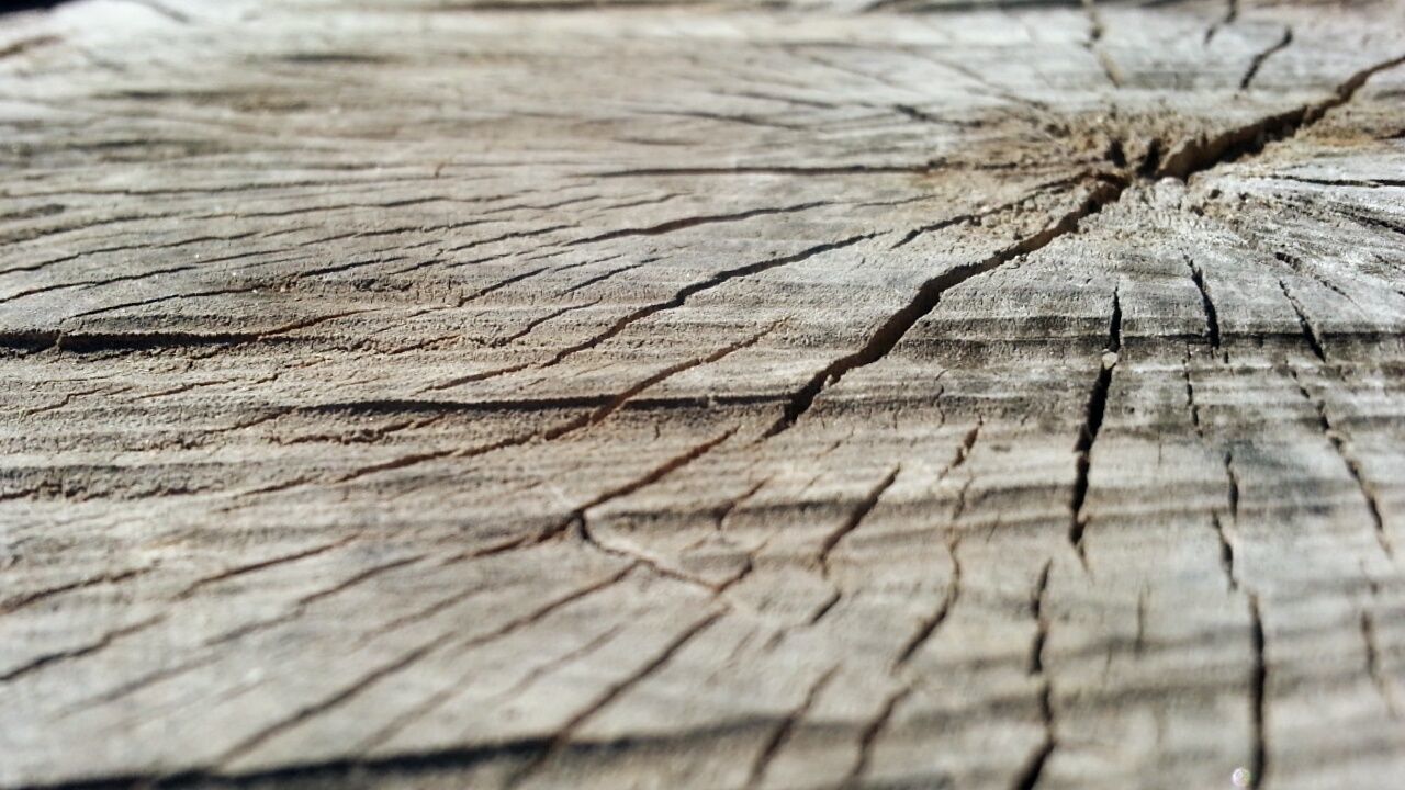 FULL FRAME SHOT OF WOODEN SURFACE