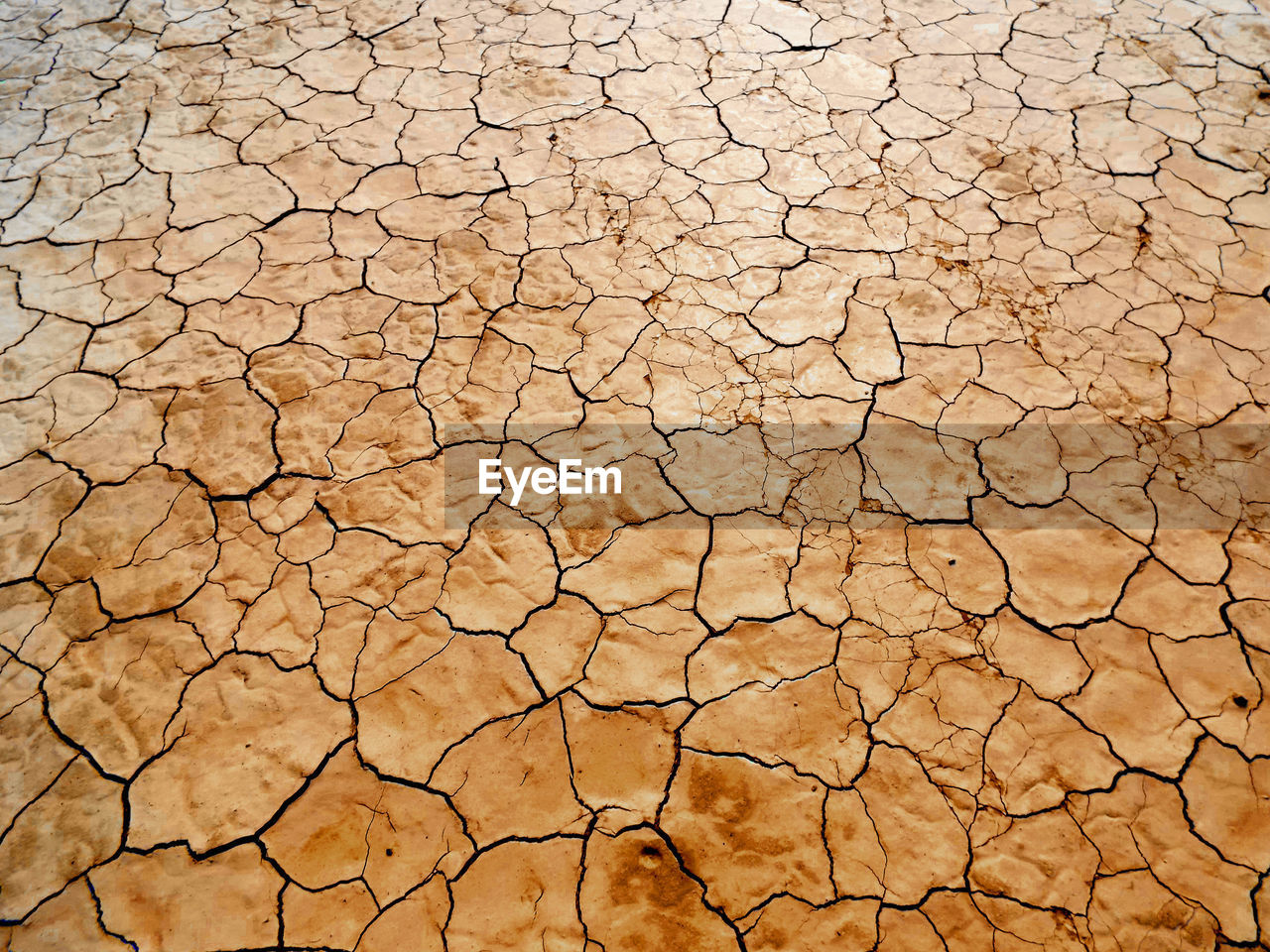 Full frame shot of cracked land