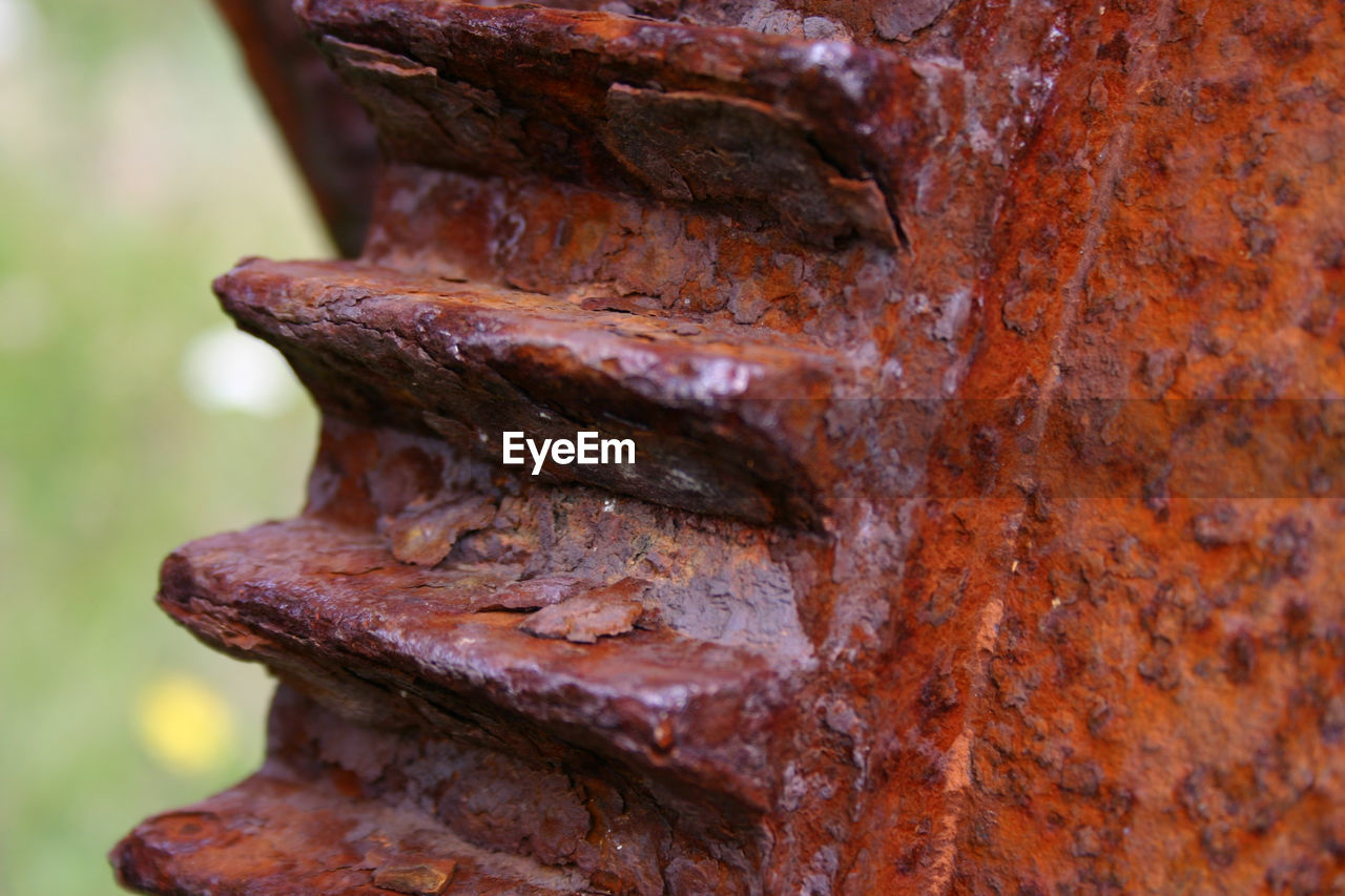 CLOSE-UP VIEW OF RUSTY