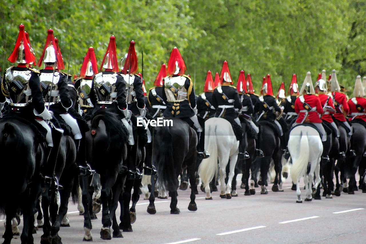 CROWD IN HORSES