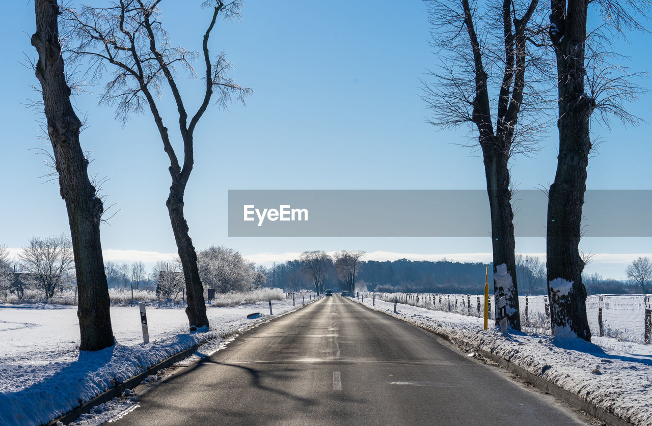 Road amidst trees against sky during winter