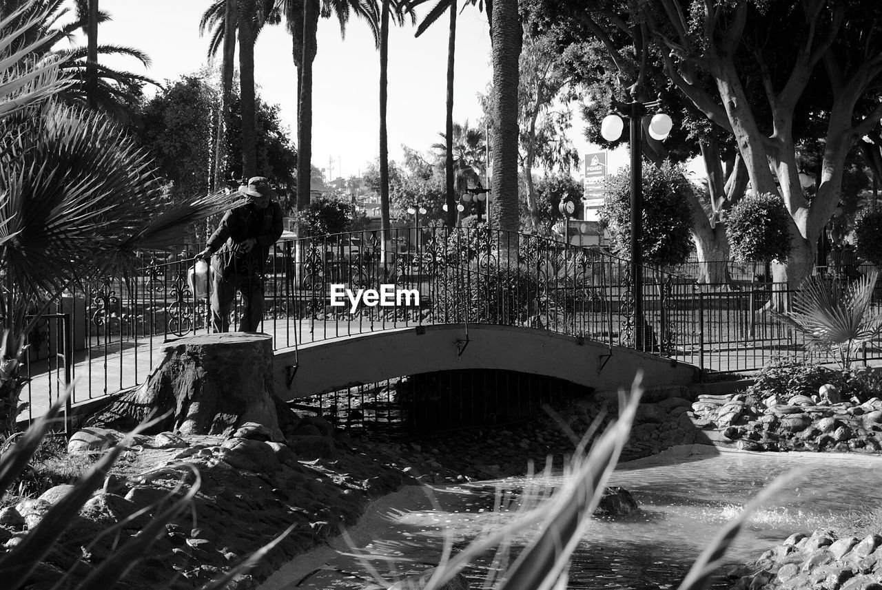 Man standing on bridge at park