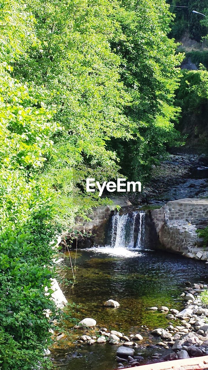 CLOSE-UP OF WATER FLOWING THROUGH TREE