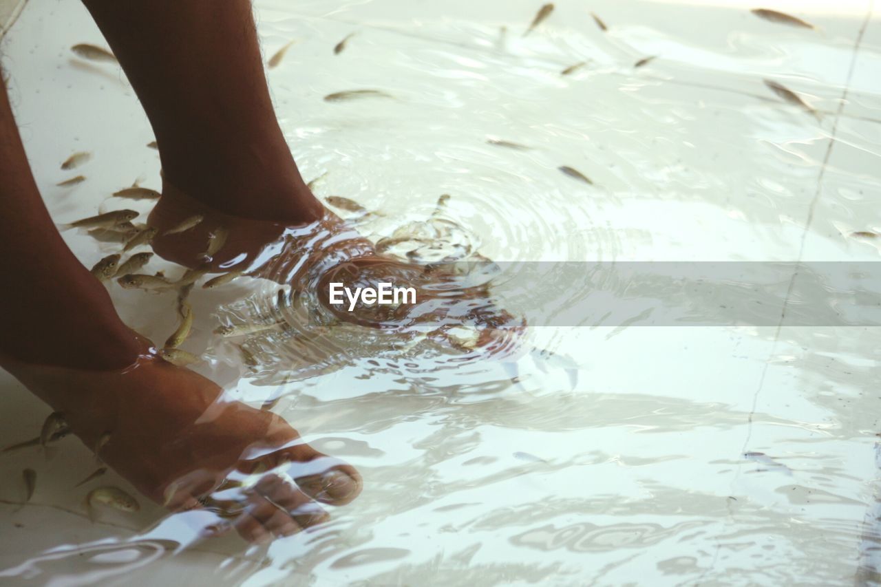 Low section of person having fish spa