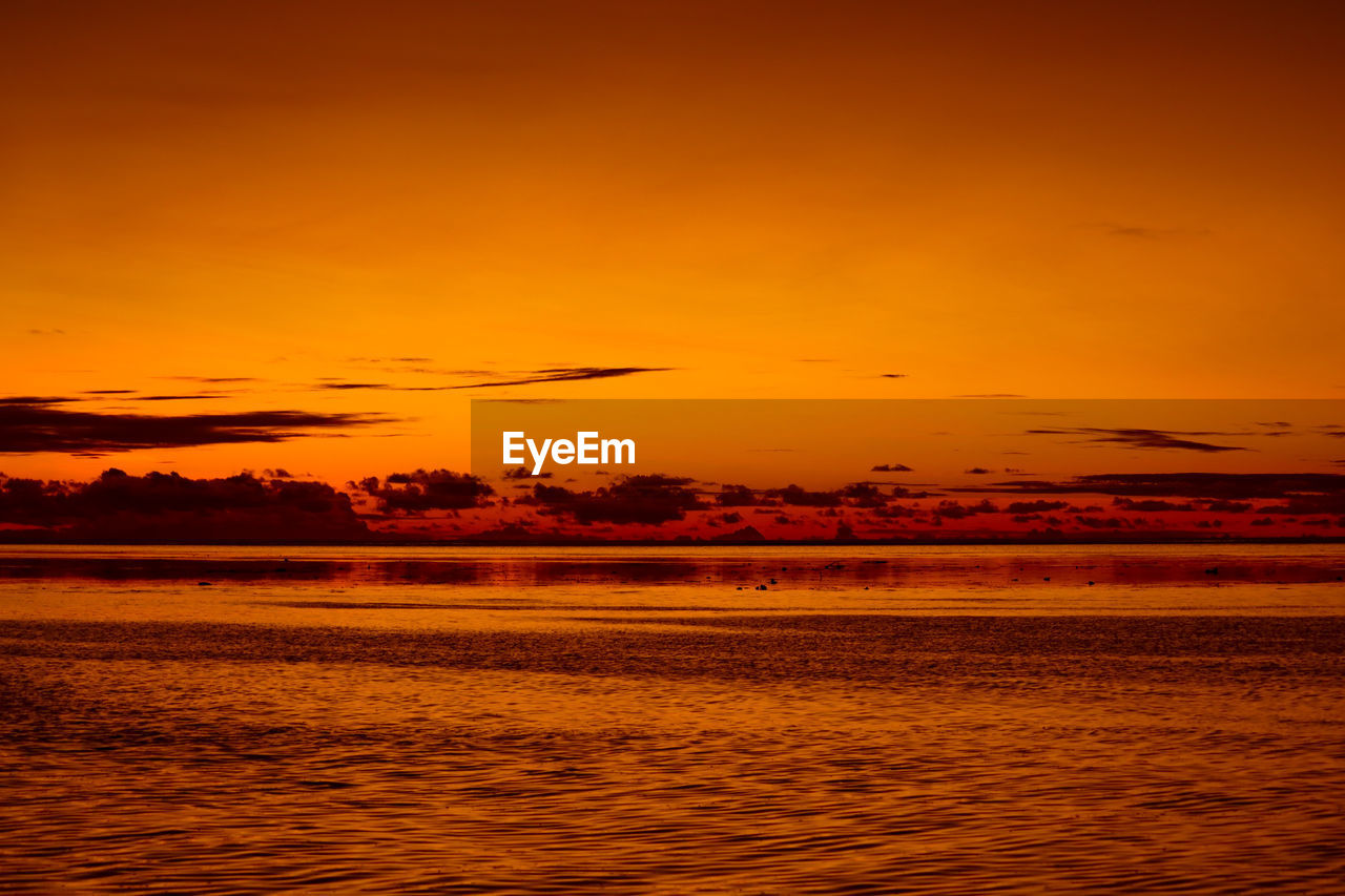 sky, water, sunset, beauty in nature, sea, scenics - nature, nature, tranquility, horizon, afterglow, orange color, tranquil scene, animal, no people, animal themes, land, cloud, environment, landscape, evening, animal wildlife, travel destinations, idyllic, dawn, beach, ocean, outdoors, coast, wildlife, red sky at morning, silhouette, reflection, dramatic sky, shore, travel, bird, seascape, non-urban scene, sun