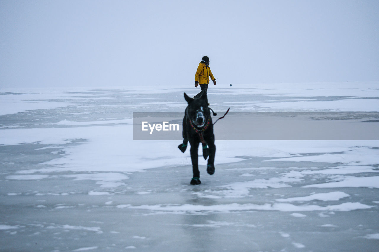 Woman with dog walking on frozen lake