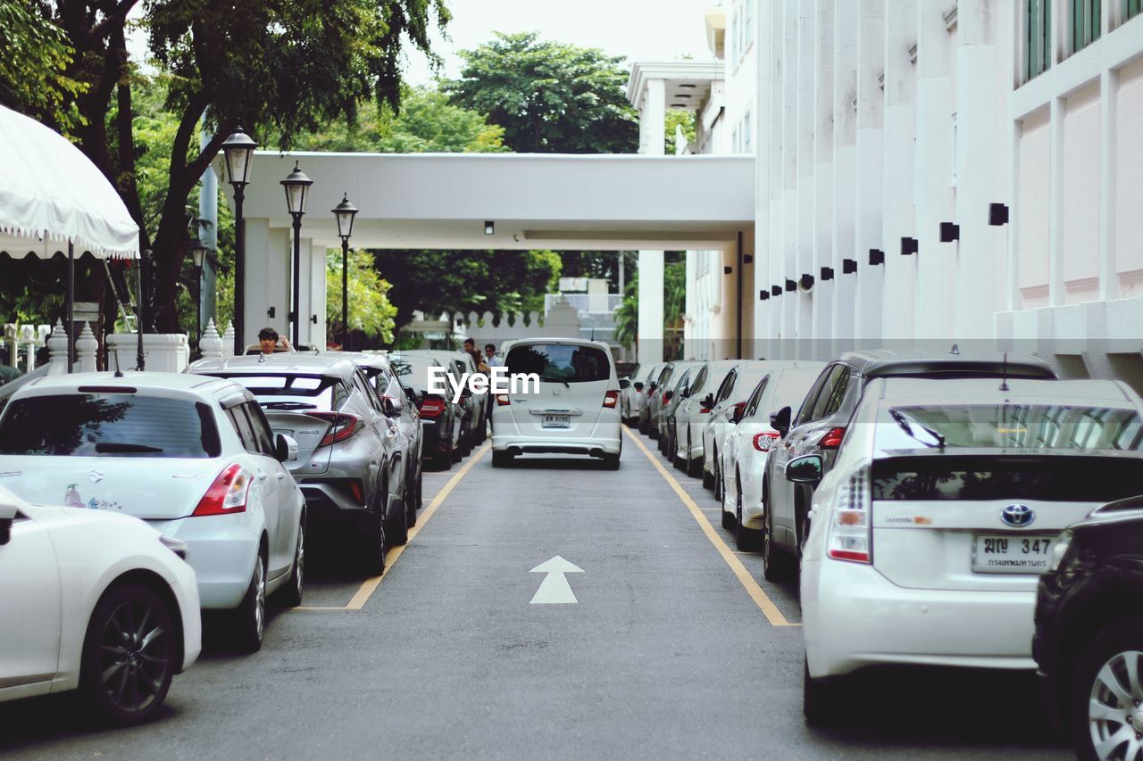 CARS ON ROAD ALONG BUILDINGS