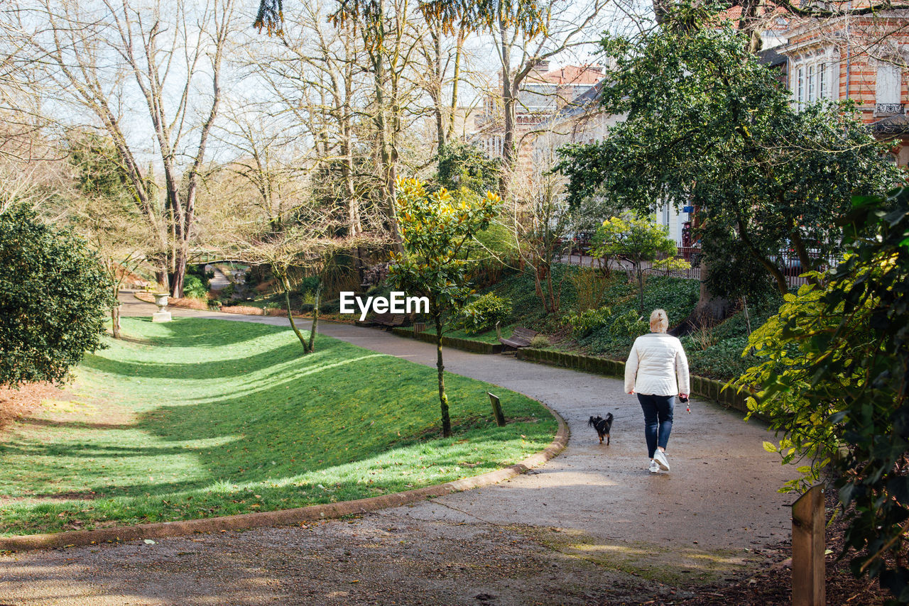 rear view of man walking on footpath in park