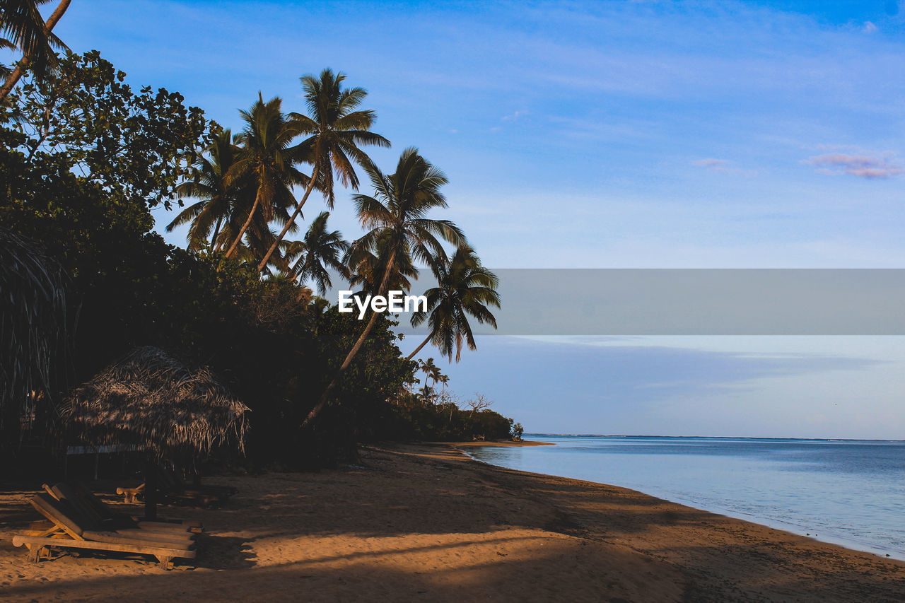 Palm trees by sea against sky