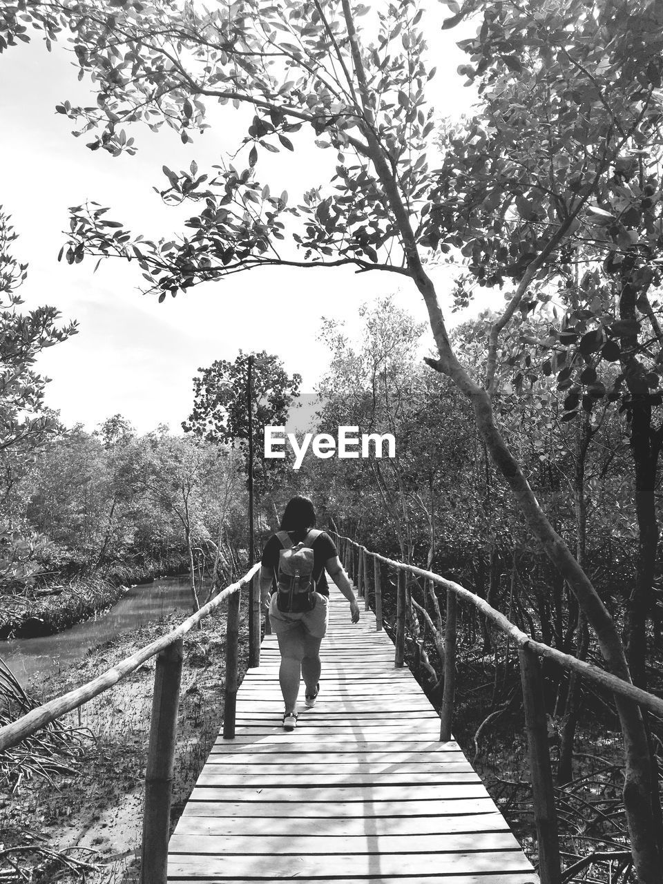 tree, plant, full length, one person, black and white, nature, the way forward, walking, leisure activity, rear view, lifestyles, bridge, railing, day, monochrome photography, architecture, footbridge, monochrome, adult, women, footpath, outdoors, casual clothing, built structure, growth, men, land, forest, sky, beauty in nature, tranquility, canopy walkway, standing, staircase, diminishing perspective, sunlight, tranquil scene, transportation, non-urban scene, travel