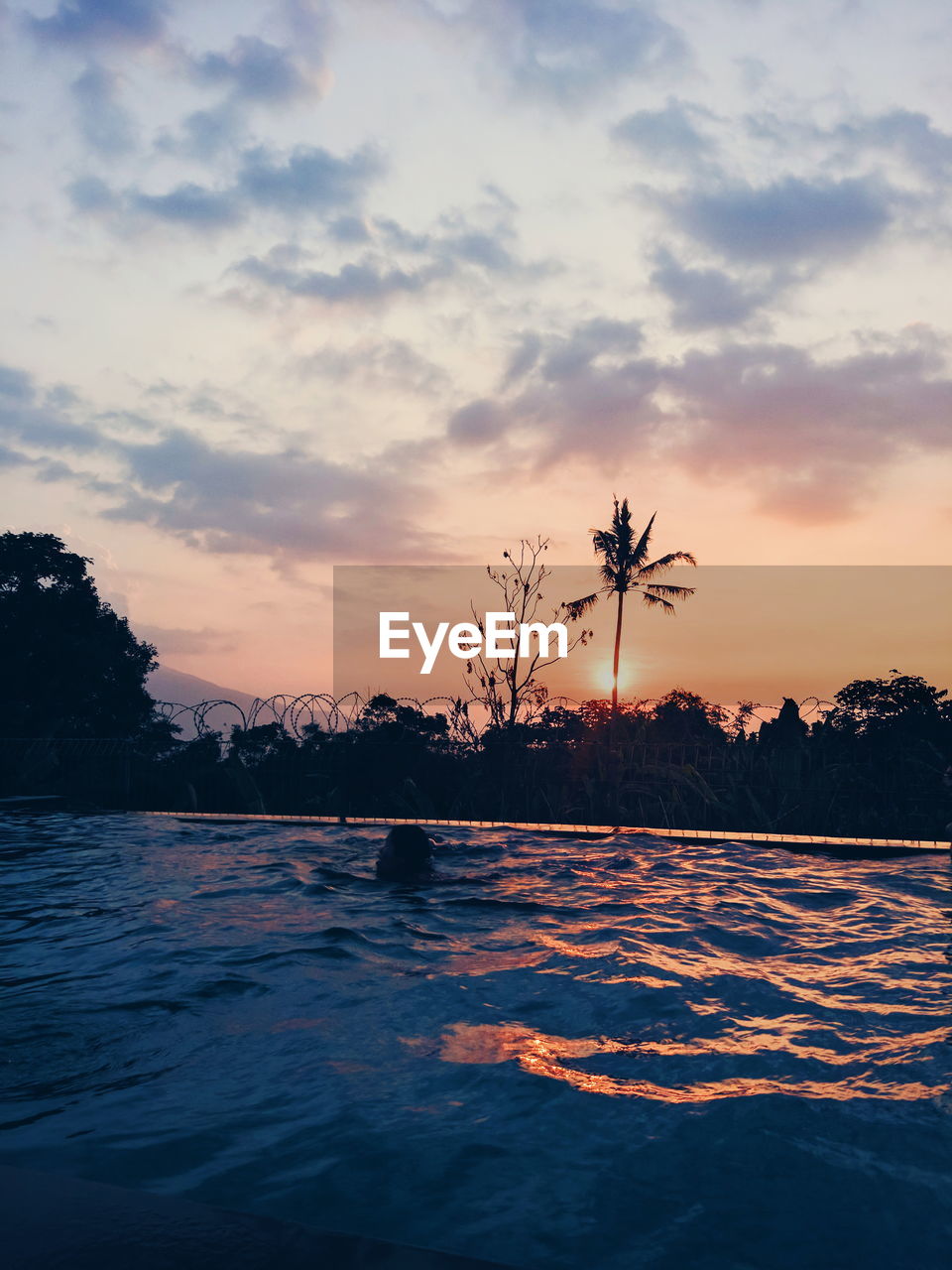 Swimming pool by trees against sky during sunset