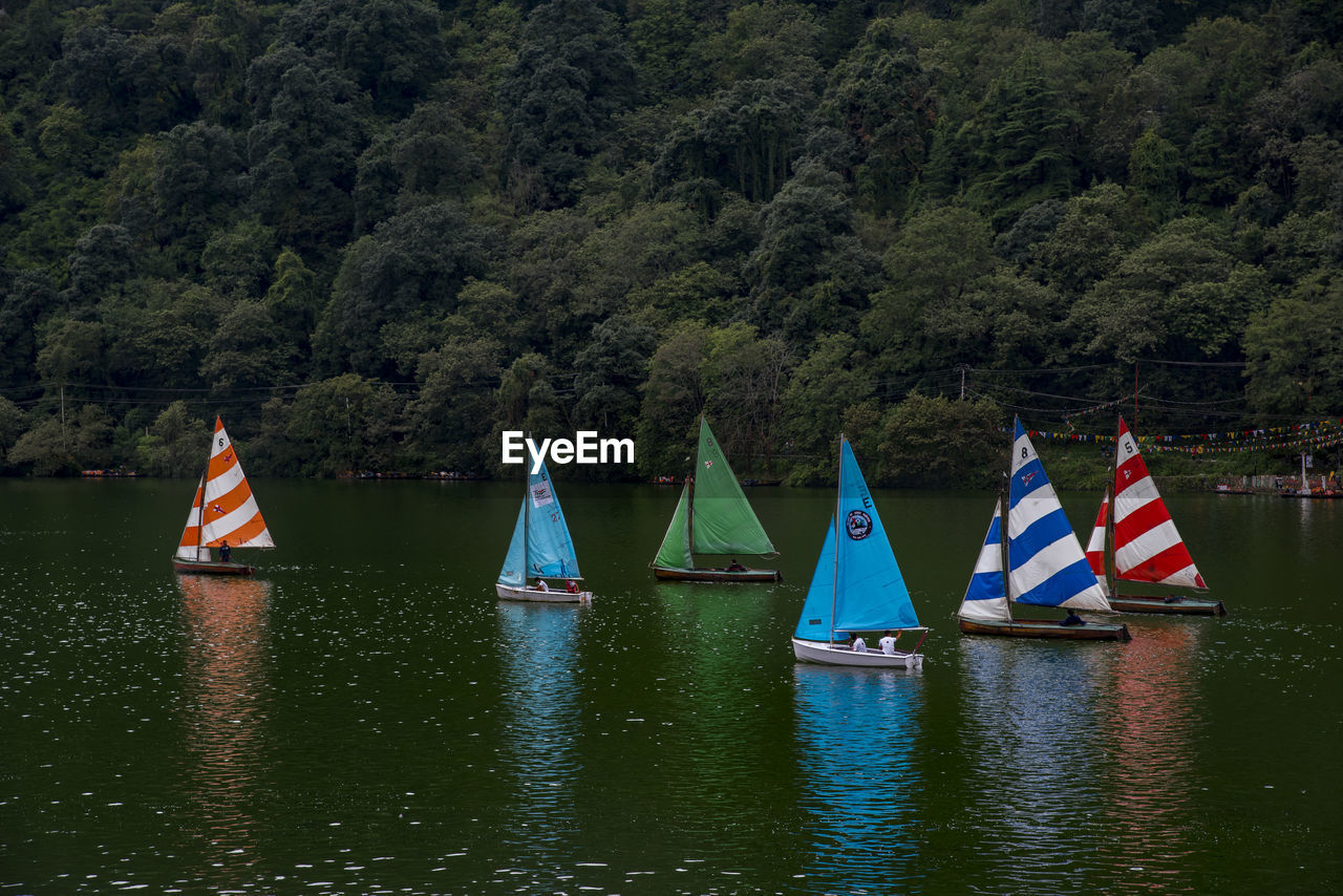 SCENIC VIEW OF LAKE AND TREES