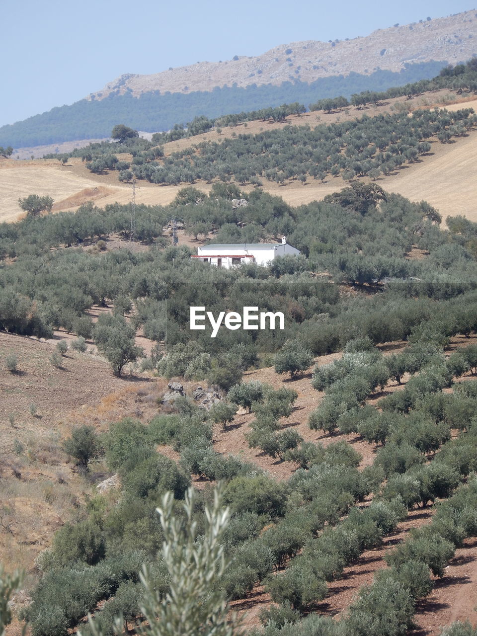 AERIAL VIEW OF LANDSCAPE