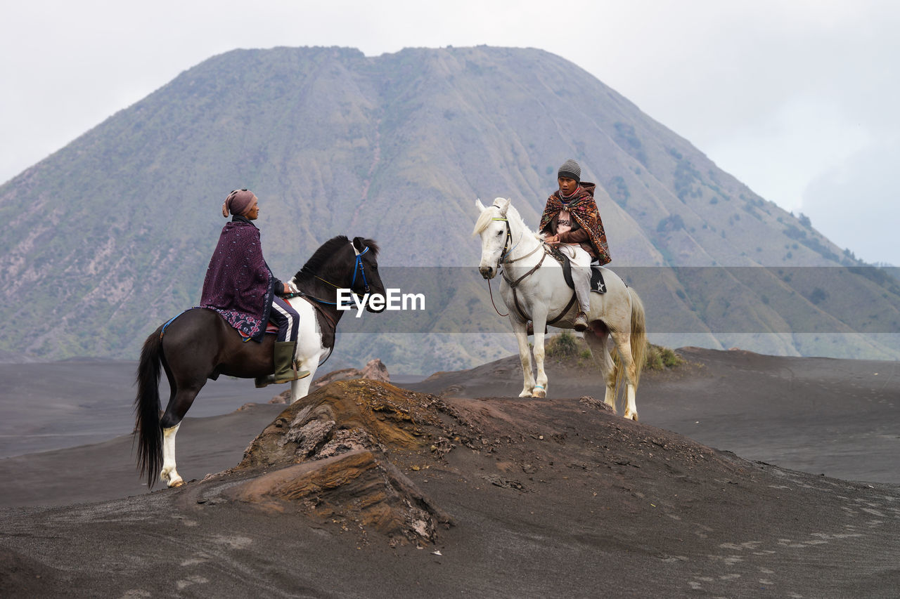 HORSE STANDING ON RIVERBANK