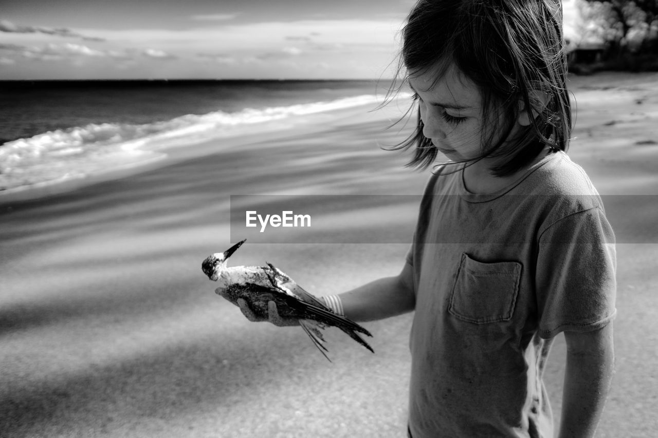Cute girl holding dead bird while standing at beach