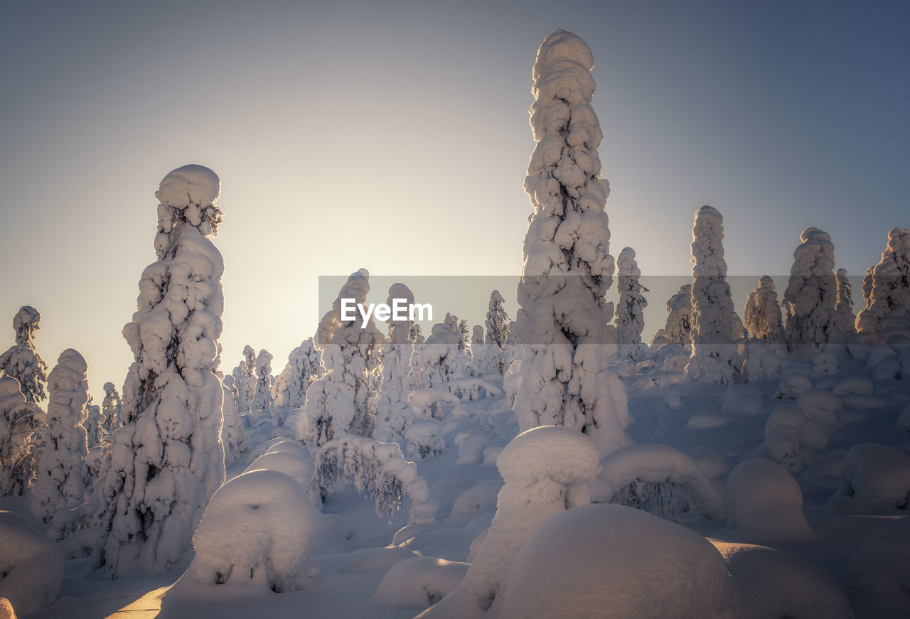 Panoramic view of snow covered land against sky