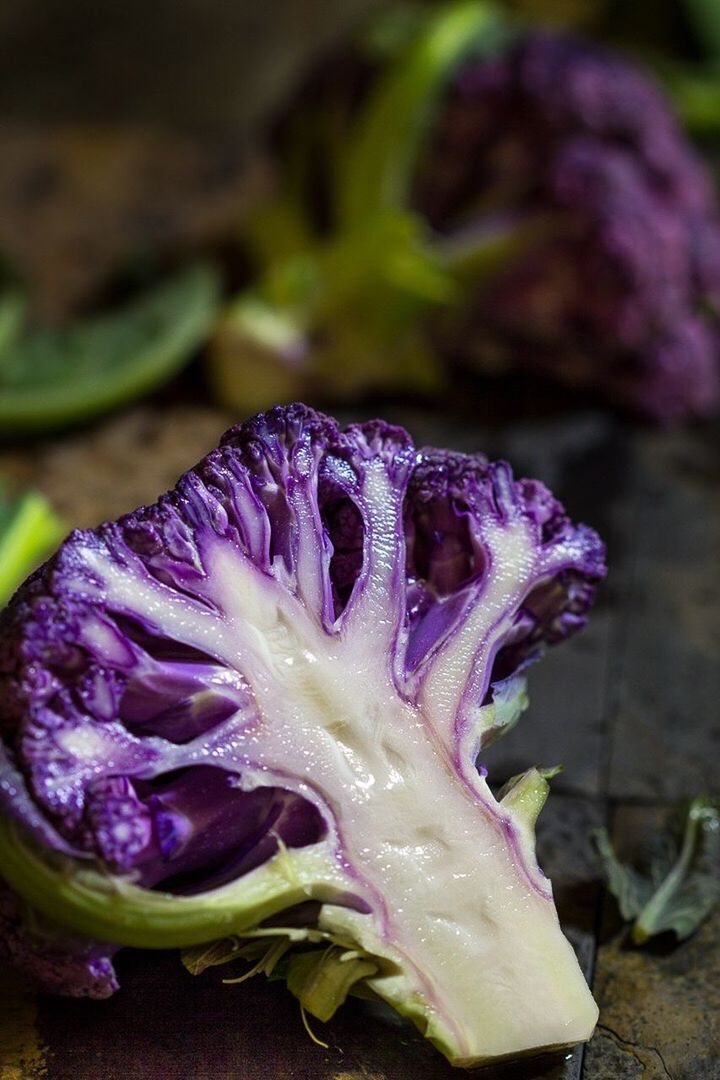 CLOSE-UP OF PURPLE FLOWERS BLOOMING